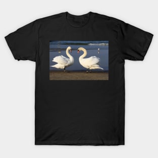 Loving Swans T-Shirt